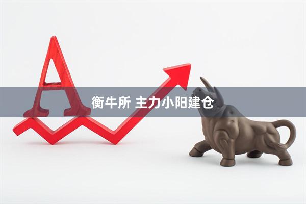 衡牛所 主力小阳建仓