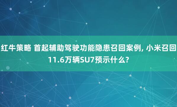 红牛策略 首起辅助驾驶功能隐患召回案例, 小米召回11.6万辆SU7预示什么?