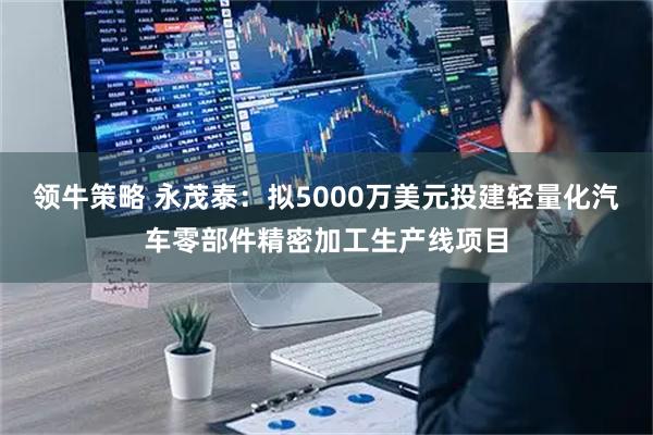 领牛策略 永茂泰：拟5000万美元投建轻量化汽车零部件精密加工生产线项目