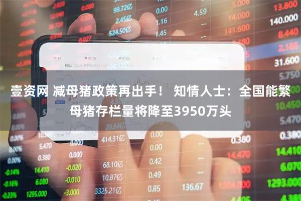 壹资网 减母猪政策再出手！ 知情人士：全国能繁母猪存栏量将降至3950万头