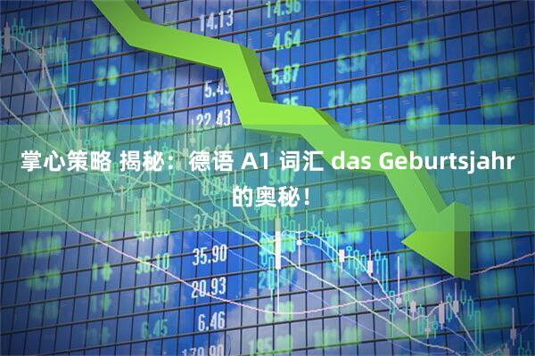 掌心策略 揭秘：德语 A1 词汇 das Geburtsjahr 的奥秘！