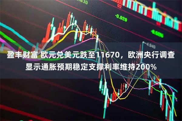 盈丰财富 欧元兑美元跌至11670，欧洲央行调查显示通胀预期稳定支撑利率维持200%