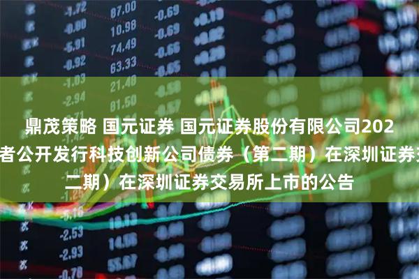 鼎茂策略 国元证券 国元证券股份有限公司2025年面向专业投资者公开发行科技创新公司债券(第二期)在深圳证券交易所上市的公告