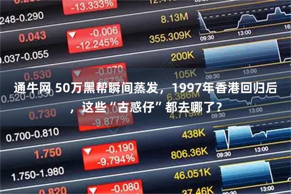 通牛网 50万黑帮瞬间蒸发，1997年香港回归后，这些“古惑仔”都去哪了？